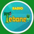 RADIO-TEBANE-DE-CAJABAMBA icône