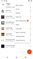 File Explorer capture d'écran 1