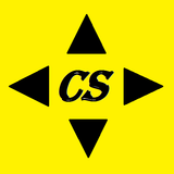 Correct score icon