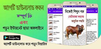 গরু মোটাতাজাকরণের পদ্ধতি постер