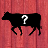 Cow Breed Identifier