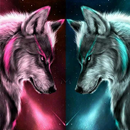 Ice Wolf Wallpaper APK