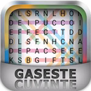 Gaseste Cuvinte APK