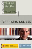Territorio Delibes poster