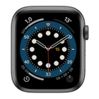 Apple Watch Widget icône