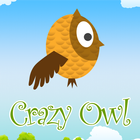 Crazy Owl ícone