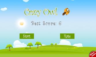 Crazy Owl Cartaz
