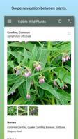 برنامه‌نما Edible Wild Plants عکس از صفحه