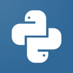 Learn Python Online