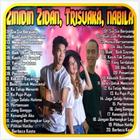 Zinidin Zidan Feat Tri Suaka icono