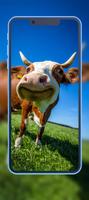 Cow Wallpapers 截圖 3
