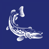 PIKE ikona