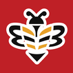 COYBees - Live Scores & News