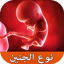 دليل المرأة الحامل - صحة و نوع APK