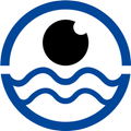 Seapupil