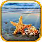 Summer Live Wallpaper آئیکن