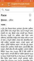 English to Punjabi Dictionary- capture d'écran 2