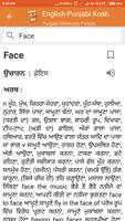 English to Punjabi Dictionary- تصوير الشاشة 2