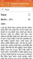 English to Punjabi Dictionary- ảnh chụp màn hình 2