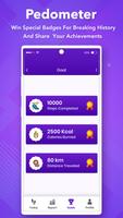 Pedometer imagem de tela 2