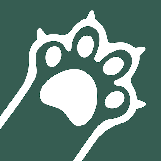 Miezly® | Die Katzen-Community