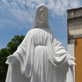 Virgin Mary's Daily Tribute