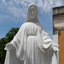 Virgin Mary's Daily Tribute APK
