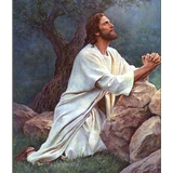 The 24 Hours of the Passion أيقونة