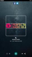 Perfecta Radio 截图 1