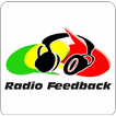”Radio Feedback Salsacate