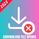 Crdownload File Opener