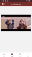 Nos Pais screenshot 2