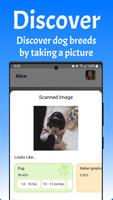 Dog App screenshot 3