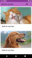 Safe For My Pet পোস্টার