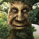 Wise Oak Tree For Minecraft APK