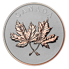 Monnaies du Canada icône