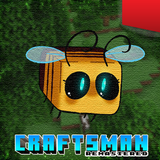 APK Craftsman Remastered