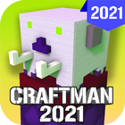 Craftsman Skin 2021 icône