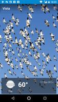 Vista, California - weather and more 포스터