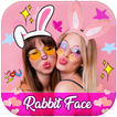 Rabbit Face Photo Editor