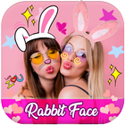 Rabbit Face icône
