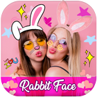Rabbit Face icon
