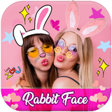 Rabbit Face icon