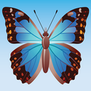 Butterfly Playtime Match 3 APK