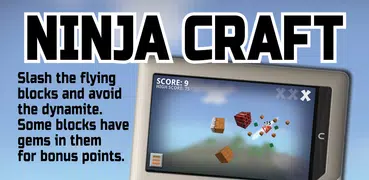 Ninja Craft Fun