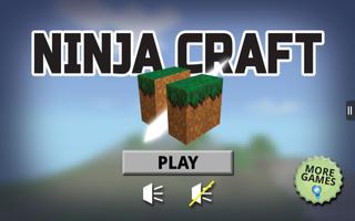 Ninja Craft poster