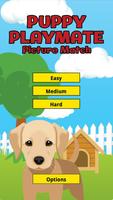 Puppy Playmate Picture Match poster
