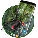 3D crawling spider theme APK