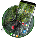 3D crawling spider theme icon