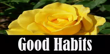 Good Habits